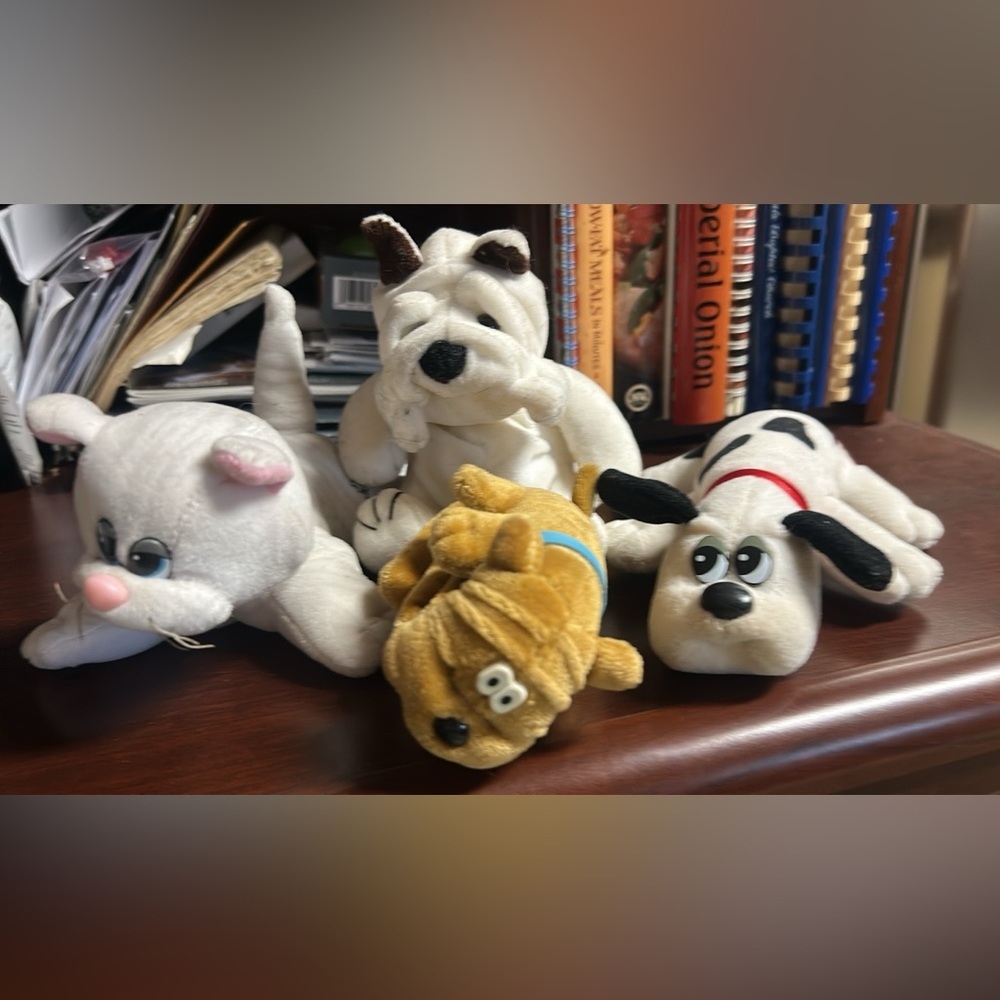 3 Cute Pets! 1980’s Pound Puppy, Pound Purrie Kitten & Cuddle Puppy